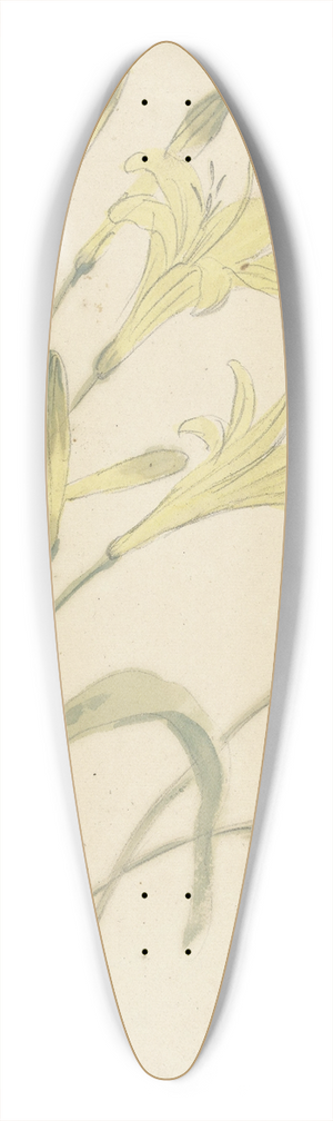 Elias van Nijmegen - Bloemstudies van een gele lelie en een bloeiende ui 39.3 inch art pintail longboard deck