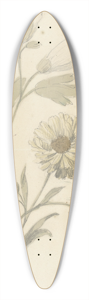 Elias van Nijmegen - Studies van zonnebloemen en dialtia 39.3 inch art pintail longboard deck