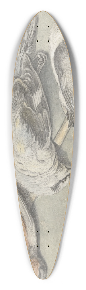 Elias Vonck - Still Life with Four Dead Birds 39.3 inch art pintail longboard deck