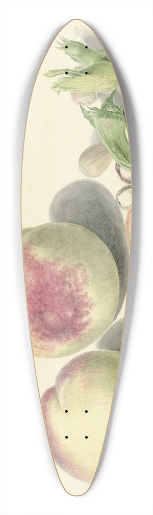 Elisabeth Geertruida van de Kasteele - Perziken, noten, een pruim en een vlieg, after Michiel van Huysum 39.3 inch art pintail longboard deck