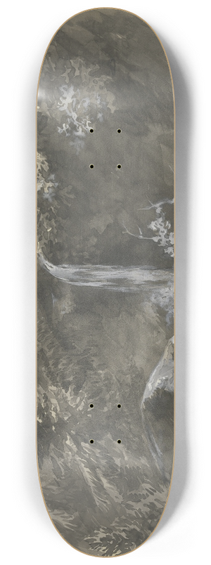 Carl Friedrich von Rumohr - Waterfall in the mountains 8.25 inch art skate deck