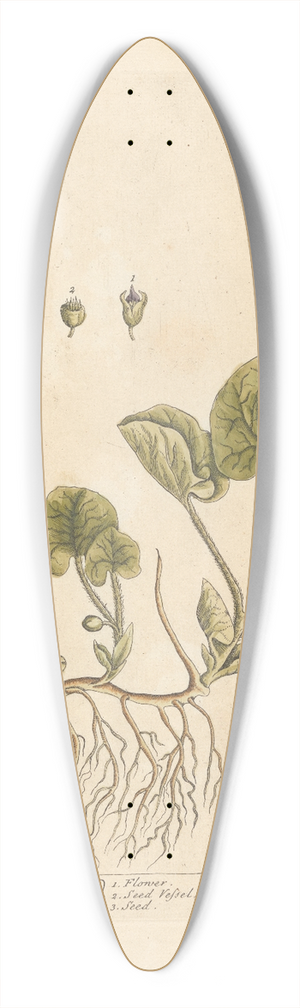 Elizabeth Blackwell - Asarabacca 39.3 inch art pintail longboard deck