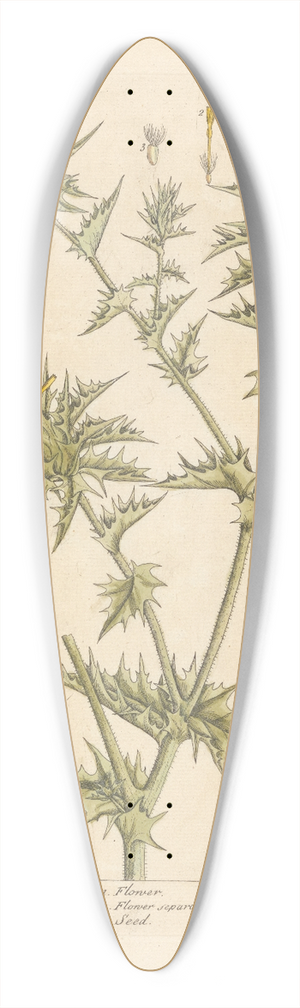 Elizabeth Blackwell - Distaff thistle 39.3 inch art pintail longboard deck