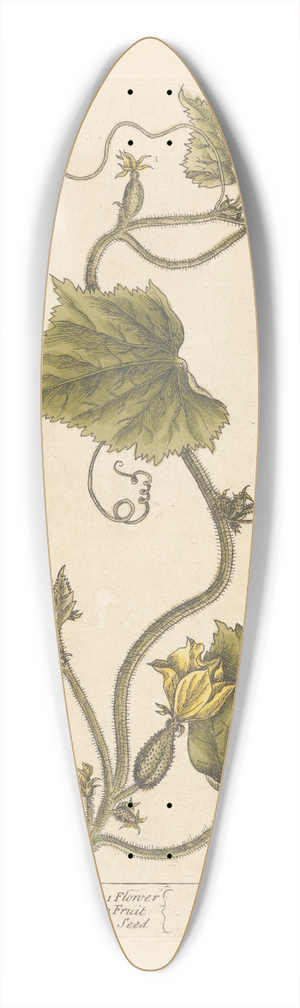 Elizabeth Blackwell - Garden cucumber 39.3 inch art pintail longboard deck