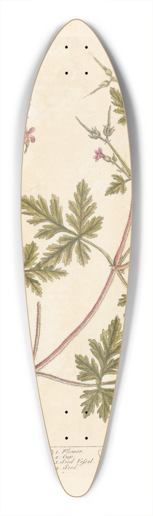 Elizabeth Blackwell - Herb Robert 39.3 inch art pintail longboard deck