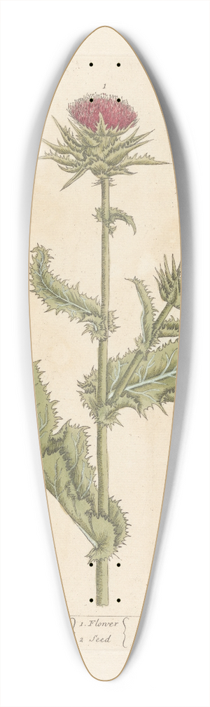 Elizabeth Blackwell - Ladies thistle 39.3 inch art pintail longboard deck