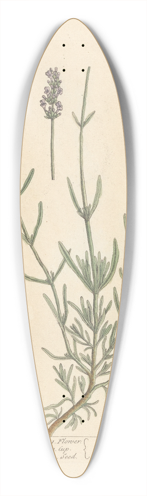 Elizabeth Blackwell - Lavender 39.3 inch art pintail longboard deck