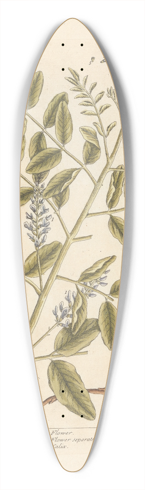 Elizabeth Blackwell - Liquorice 39.3 inch art pintail longboard deck