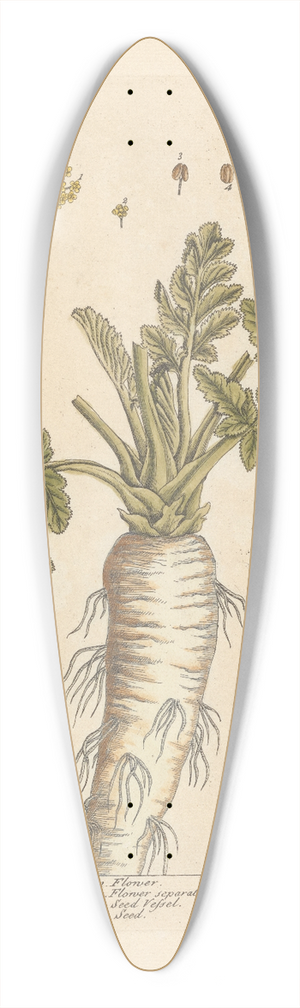 Elizabeth Blackwell - Parsnep 39.3 inch art pintail longboard deck