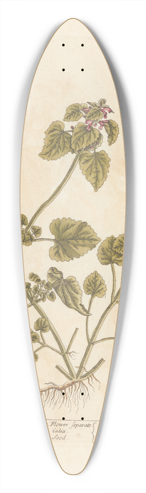 Elizabeth Blackwell - Red archangel 39.3 inch art pintail longboard deck