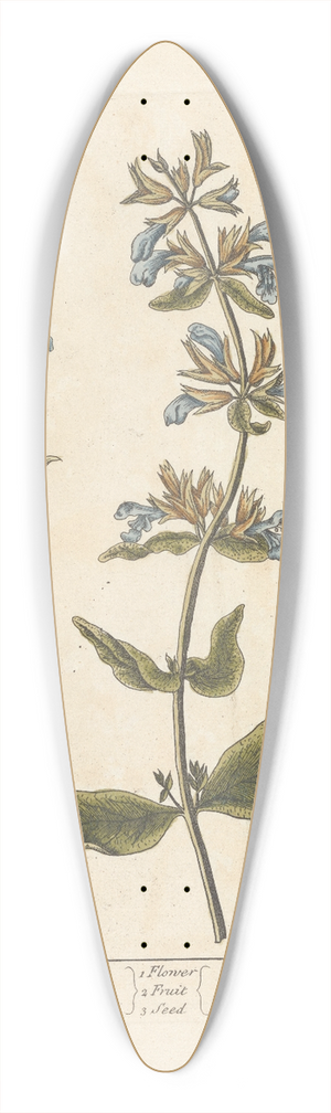 Elizabeth Blackwell - Sage 39.3 inch art pintail longboard deck