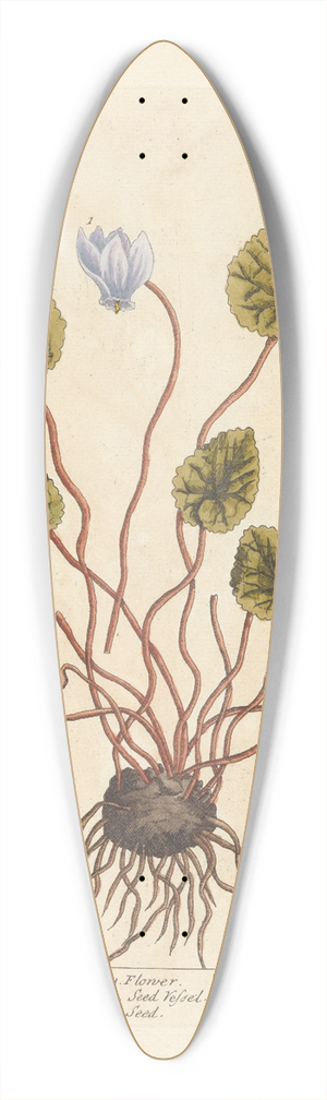 Elizabeth Blackwell - Sow-bread 39.3 inch art pintail longboard deck