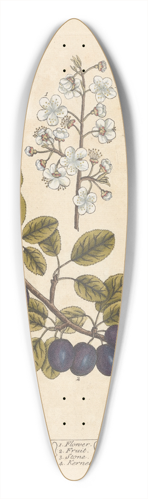 Elizabeth Blackwell - The damson tree 39.3 inch art pintail longboard deck
