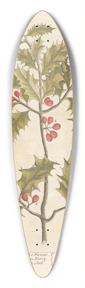 Elizabeth Blackwell - The holly-tree 39.3 inch art pintail longboard deck