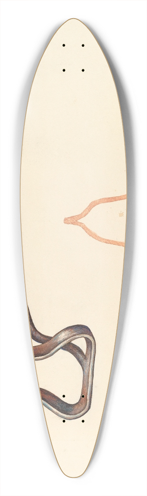 Elizabeth Johnson - Branding Iron 39.3 inch art pintail longboard deck