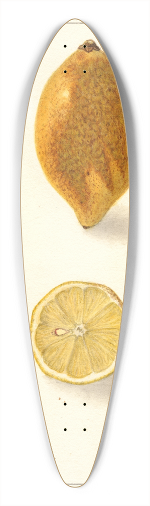 Ellen Isham Schutt - Citrus limon 39.3 inch art pintail longboard deck