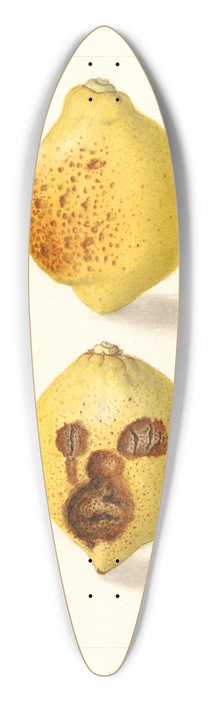 Ellen Isham Schutt - Citrus limon 39.3 inch art pintail longboard deck