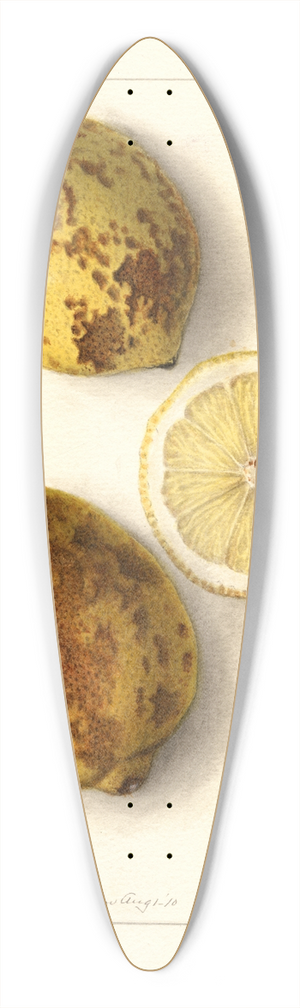 Ellen Isham Schutt - Citrus limon 39.3 inch art pintail longboard deck