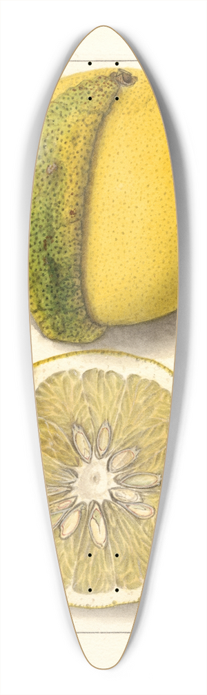 Ellen Isham Schutt - Citrus paradisi: Chimera 39.3 inch art pintail longboard deck