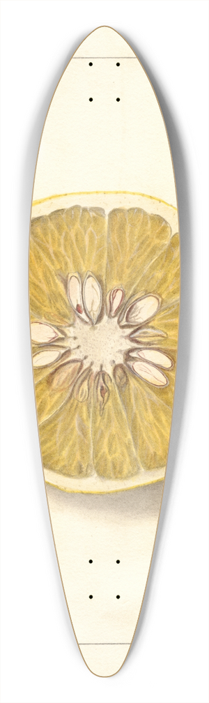 Ellen Isham Schutt - Citrus paradisi: Royal 39.3 inch art pintail longboard deck