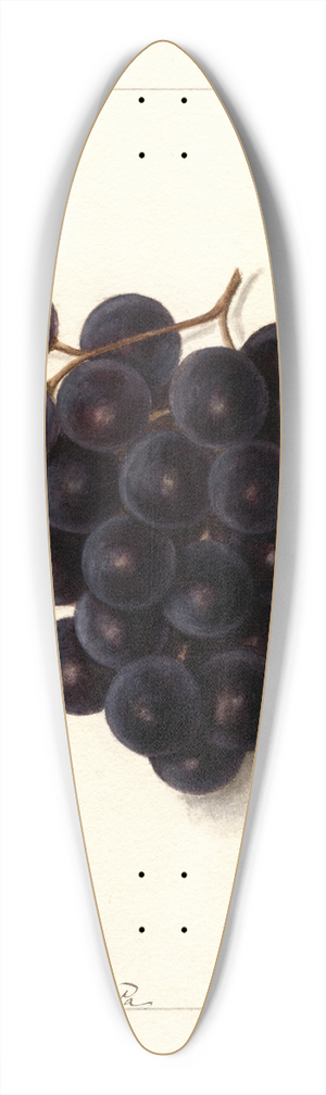 Ellen Isham Schutt - Vitis 39.3 inch art pintail longboard deck
