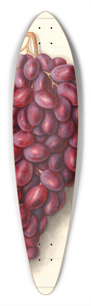 Ellen Isham Schutt - Vitis: Ajun 39.3 inch art pintail longboard deck