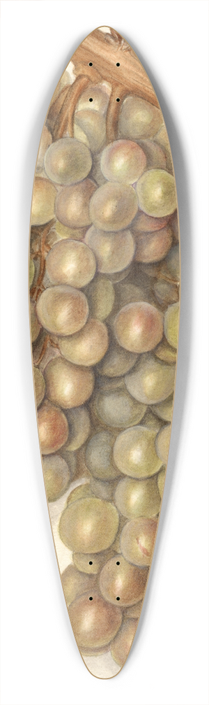 Ellen Isham Schutt - Vitis: Hycales 39.3 inch art pintail longboard deck