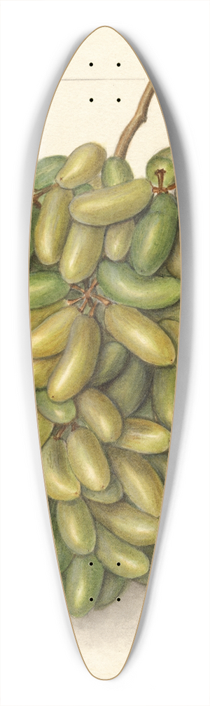 Ellen Isham Schutt - Vitis: Pizzutella 39.3 inch art pintail longboard deck
