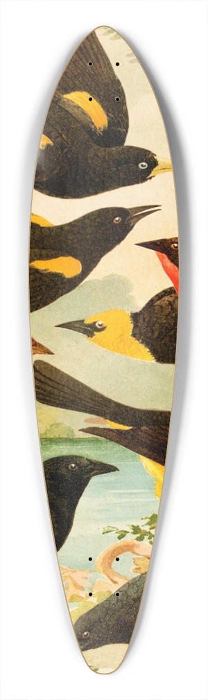 Emil August Gldi - Japiim, Rouxinol, Policia ingleza, Ir-tau, Ir-una, Vira-bosta 39.3 inch art pintail longboard deck