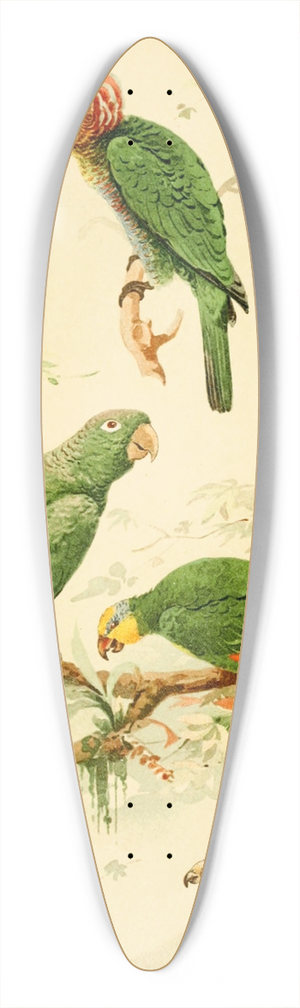 Emil August Gldi - Papagaios 39.3 inch art pintail longboard deck