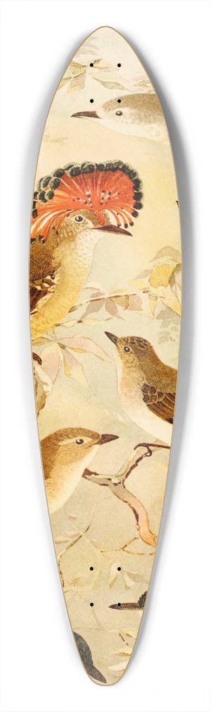 Emil August Gldi - Viuvinha, Lecre, Ferreirinho 39.3 inch art pintail longboard deck