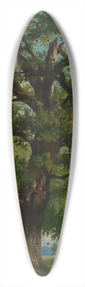 Emil Lugo - Eiche 39.3 inch art pintail longboard deck