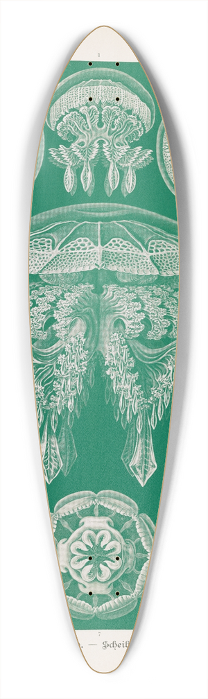Ernst Haeckel - Discomedusae.  Scheibenquallen 39.3 inch art pintail longboard deck