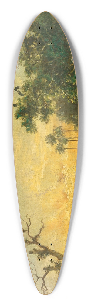 Esteban Chartrand - Laguna Al Atardecer 39.3 inch art pintail longboard deck