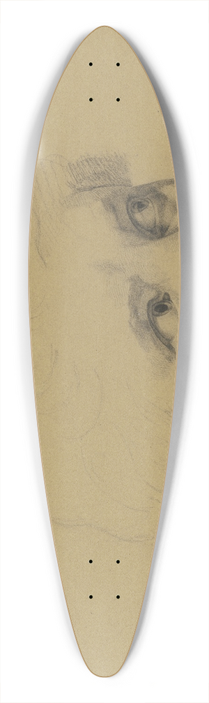 Eugen Eduard Schffer - Portrait of a boy 39.3 inch art pintail longboard deck