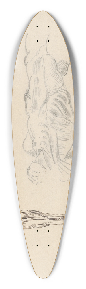 Eugne Delacroix - corch; Three Studies of a Male Cadaver 39.3 inch art pintail longboard deck Eugne Delacroix - corch; Three Studies of a Male Cadaver 39.3 inch art pintail longboard deck