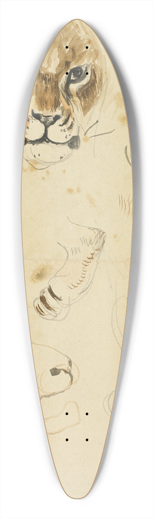Eugne Delacroix - Heads and Paws of Lions 39.3 inch art pintail longboard deck Eugne Delacroix - Heads and Paws of Lions 39.3 inch art pintail longboard deck