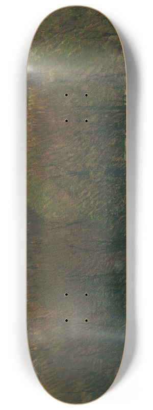 Carl Moll - Blick von Heiligenstadt auf den Nuberg 8.25 inch art skate deck Carl Moll - Blick von Heiligenstadt auf den Nuberg 8.25 inch art skate deck