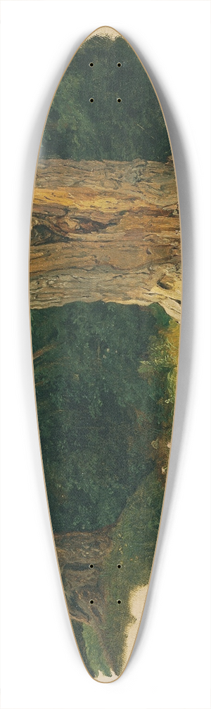 Ferdinand Georg Waldmller - Baumstudie 39.3 inch art pintail longboard deck