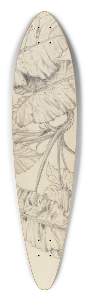 Ferdinand Keller - Bltterstudie 39.3 inch art pintail longboard deck Ferdinand Keller - Bltterstudie 39.3 inch art pintail longboard deck
