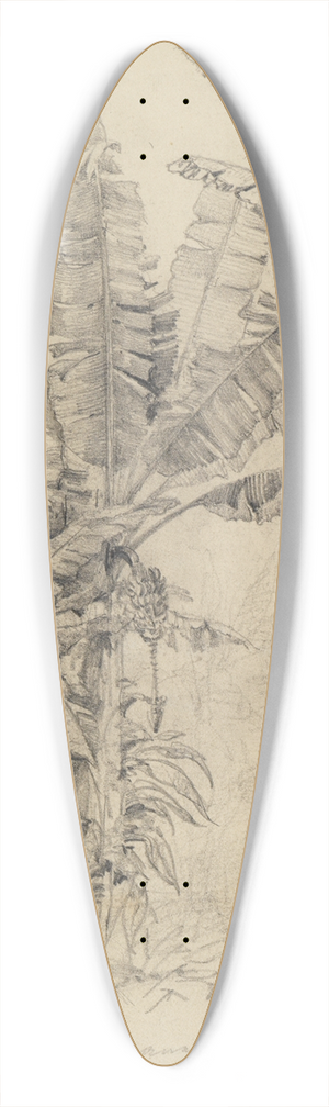 Ferdinand Keller - Im Urwald- Palmengewchse 39.3 inch art pintail longboard deck