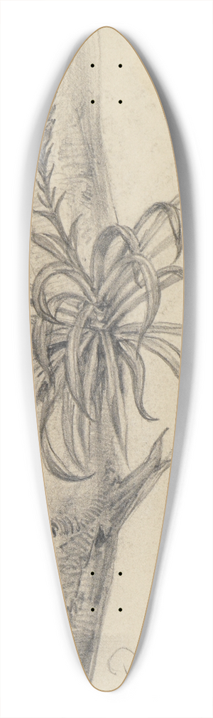 Ferdinand Keller - Pflanzenstudie am Ast II 39.3 inch art pintail longboard deck