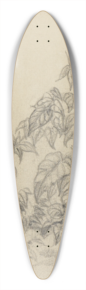 Ferdinand Keller - Pflanzenstudie VIII 39.3 inch art pintail longboard deck