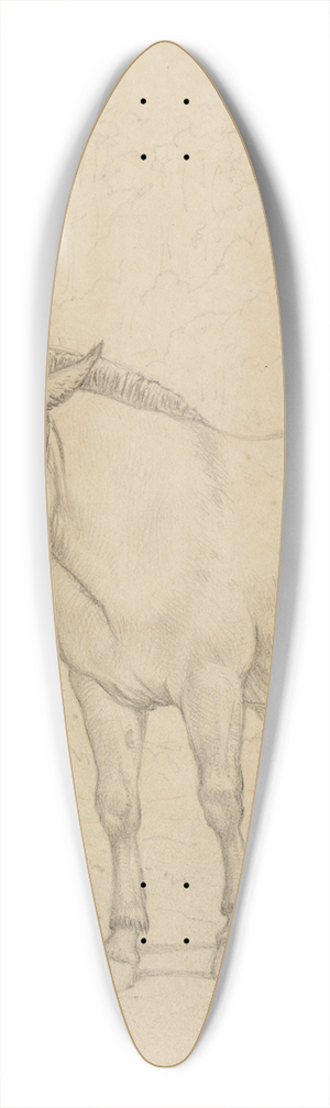 Ferdinand Keller - Studie der alte Macho, von vorne, leicht seitlich 39.3 inch art pintail longboard deck