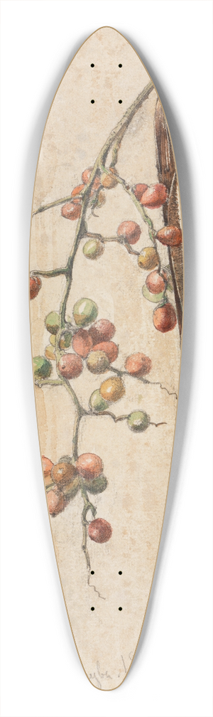 Ferdinand Keller - Studie eines Frchte tragenden Zweiges 39.3 inch art pintail longboard deck