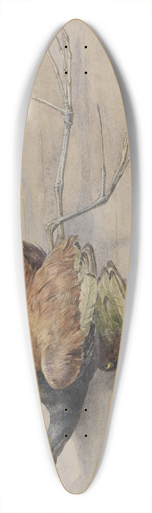 Ferdinand Keller - Studie eines toten Spornflglers 39.3 inch art pintail longboard deck