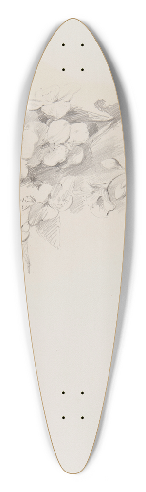 Ferdynand Bryll - szkice kwiatw 39.3 inch art pintail longboard deck
