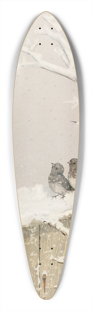 Fidelia Bridges - January II 39.3 inch art pintail longboard deck