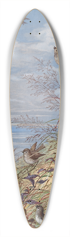 Fidelia Bridges - September 39.3 inch art pintail longboard deck