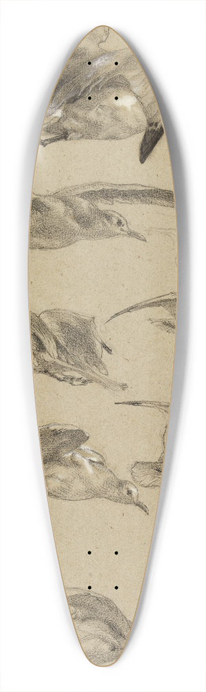 Flix Bracquemond - Mouettes 39.3 inch art pintail longboard deck Flix Bracquemond - Mouettes 39.3 inch art pintail longboard deck